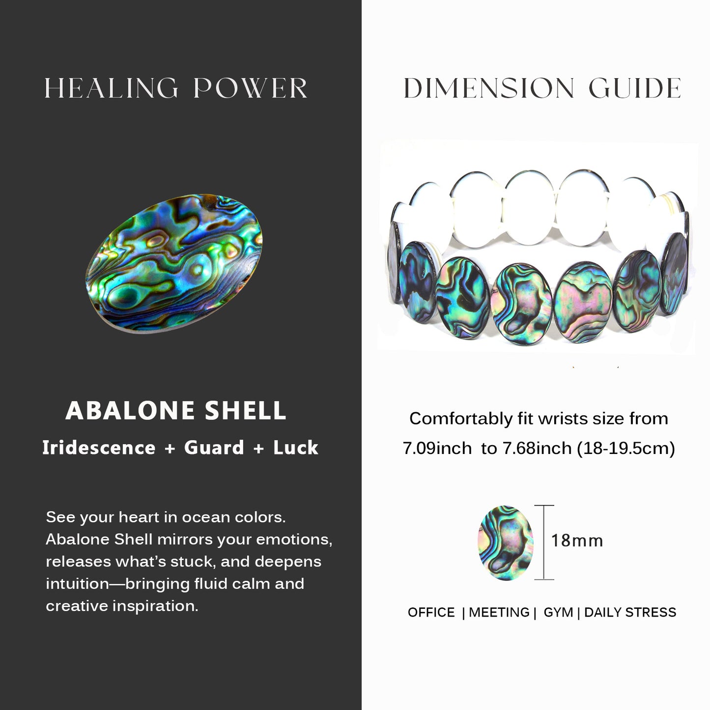Oval-shaped abalone shell