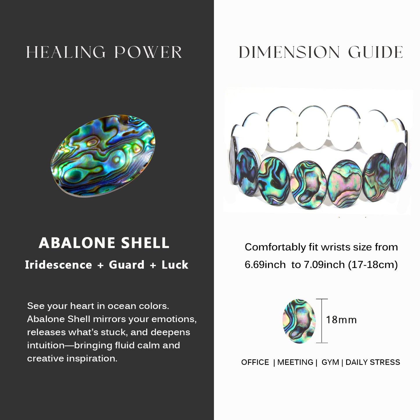 Oval-shaped abalone shell
